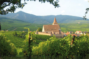 alsace-comtes_de_ribeauville