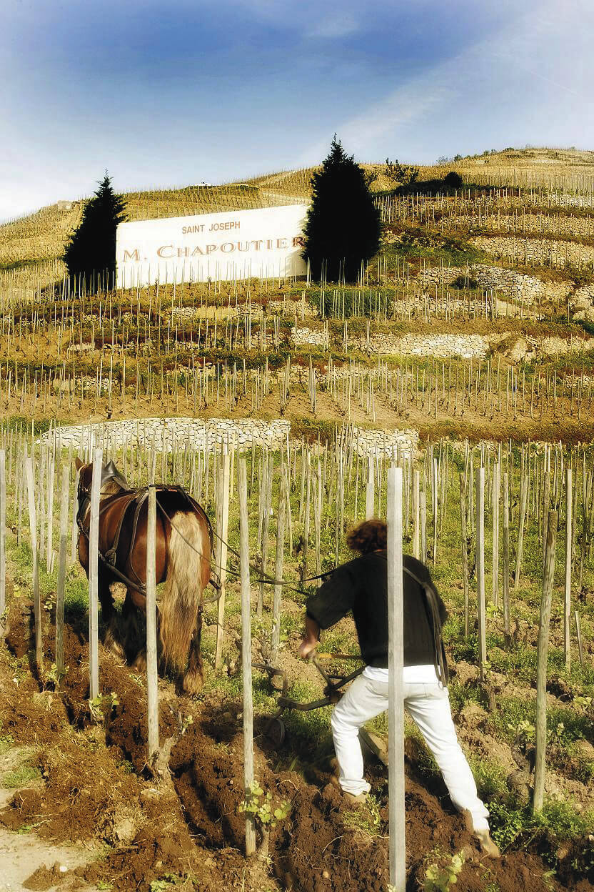 Tasting of the wines of Chapoutier - a biodynamic wine pioneer